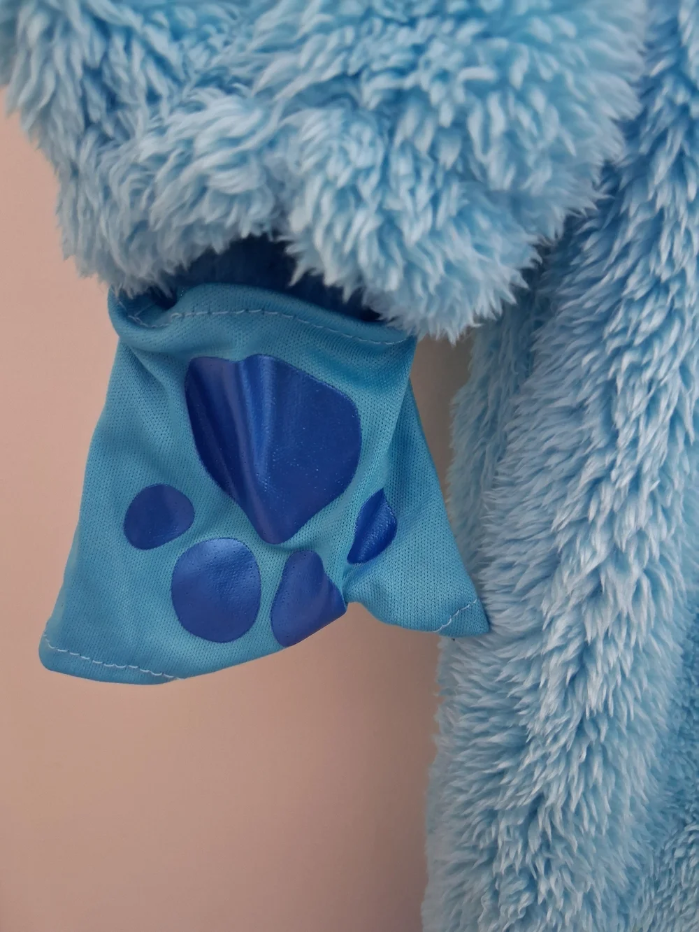 Nickelodeon Blues Clues Costume